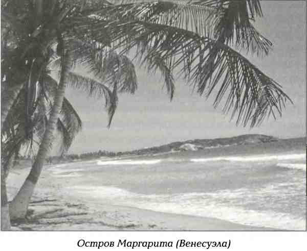 Иллюстрация к книге — Русские в Латинской Америке [i_022.jpg]