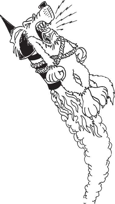 Иллюстрация к книге — Если жираф танцует с Волком [i_040.jpg]