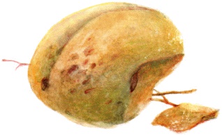 Иллюстрация к книге — Велькино детство [_22.jpg]