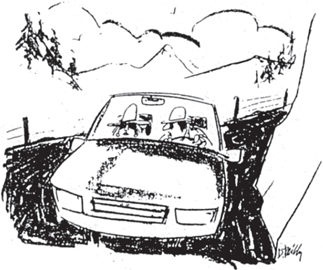 Иллюстрация к книге — Все, что душа пожелает, или Фактор Аладдина [img_4.jpg]