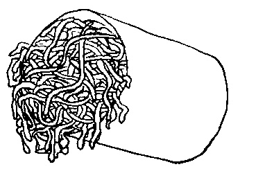 Иллюстрация к книге — Вы и ваша семья [_40.jpg]