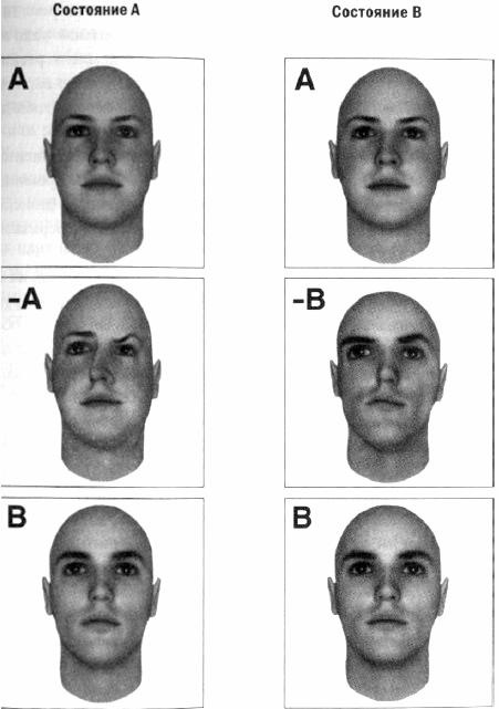Иллюстрация к книге — Предсказуемая иррациональность. Скрытые силы, определяющие наши решения [i_006.jpg]