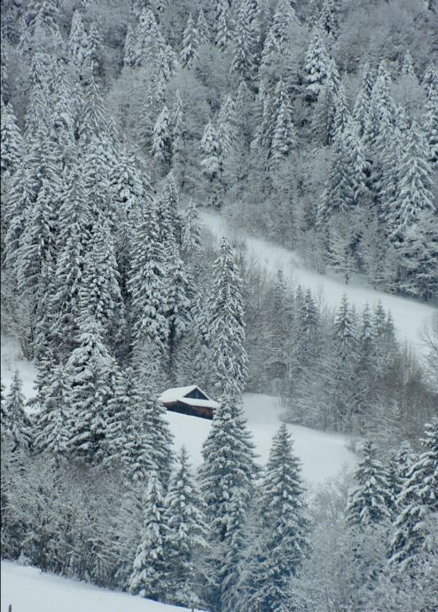 Иллюстрация к книге — Мне всегда везет! Мемуары счастливой женщины [i_155.jpg]
