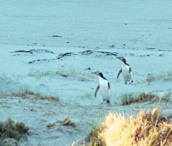 Иллюстрация к книге — Мне всегда везет! Мемуары счастливой женщины [i_165.jpg]