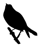 Иллюстрация к книге — Ври как мужчина, манипулируй как женщина [i_032.jpg]