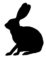 Иллюстрация к книге — Ври как мужчина, манипулируй как женщина [i_033.jpg]