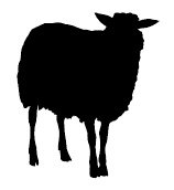 Иллюстрация к книге — Ври как мужчина, манипулируй как женщина [i_036.jpg]