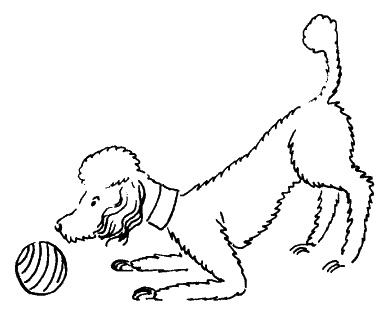 Иллюстрация к книге — Что сделала бы Грейс? Секреты стильной жизни от принцессы Монако [_108.jpg]