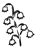 Иллюстрация к книге — Что сделала бы Грейс? Секреты стильной жизни от принцессы Монако [_209.jpg]