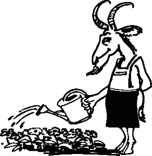 Иллюстрация к книге — Служба спасения любви, или Не позволяй своему принцу превратиться в козлика! [ekoz.jpg]