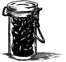 Иллюстрация к книге — Спокойное достоинство безмолвия [i_011.jpg]