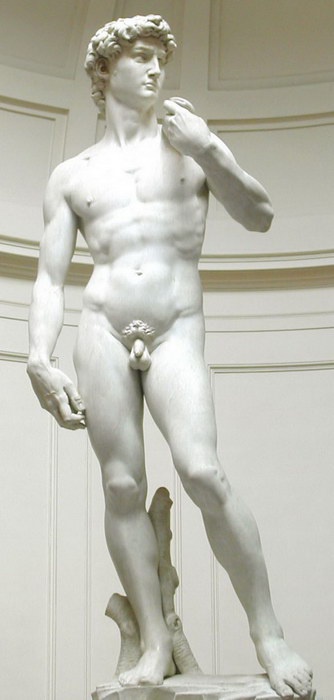 Иллюстрация к книге — Жизнь Микеланджело [i_031.jpg]