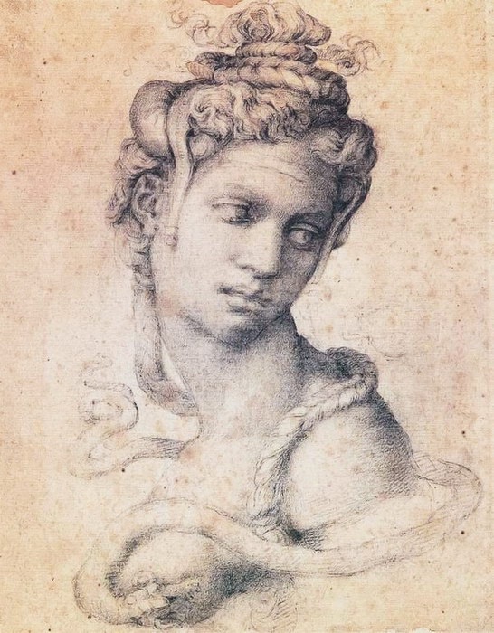 Иллюстрация к книге — Жизнь Микеланджело [i_092.jpg]