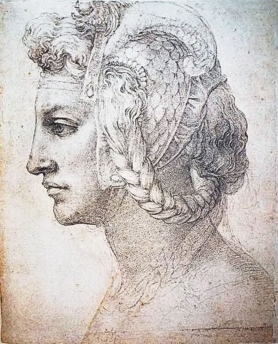 Иллюстрация к книге — Жизнь Микеланджело [i_109.jpg]