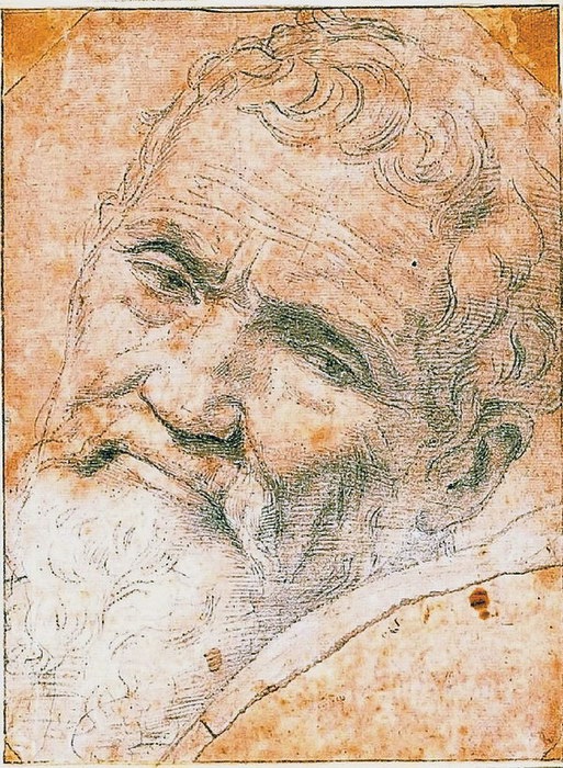 Иллюстрация к книге — Жизнь Микеланджело [i_130.jpg]