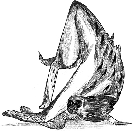 Иллюстрация к книге — Книга всех вещей [i_005.jpg]