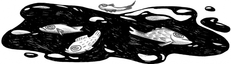 Иллюстрация к книге — Книга всех вещей [i_013.jpg]