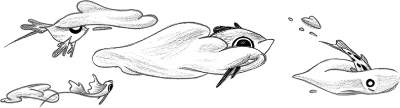 Иллюстрация к книге — Книга всех вещей [i_028.jpg]