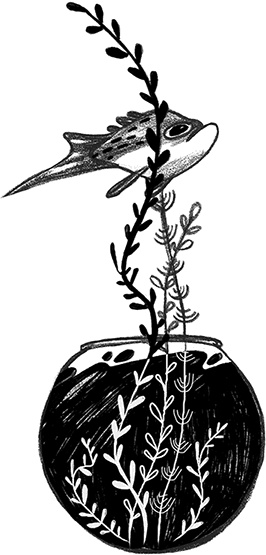 Иллюстрация к книге — Книга всех вещей [i_031.jpg]