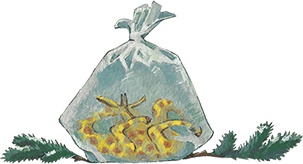 Иллюстрация к книге — Про жирафа Федю [i_005.jpg]