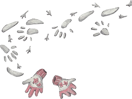 Иллюстрация к книге — Про жирафа Федю [i_017.jpg]