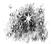 Иллюстрация к книге — Курячий бог [i_005.jpg]