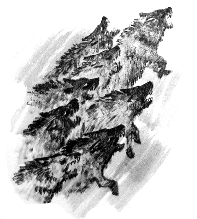 Иллюстрация к книге — Курячий бог [i_039.jpg]