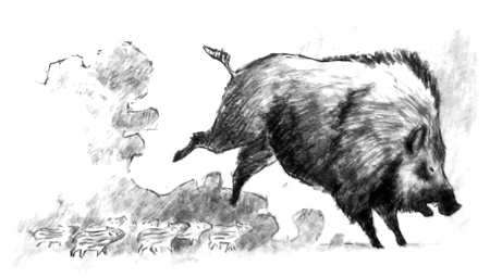 Иллюстрация к книге — Курячий бог [i_041.jpg]