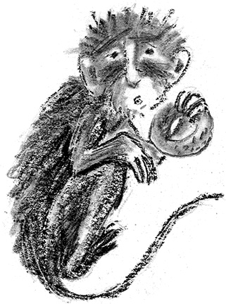 Иллюстрация к книге — Приключения Джерика [i_005.jpg]