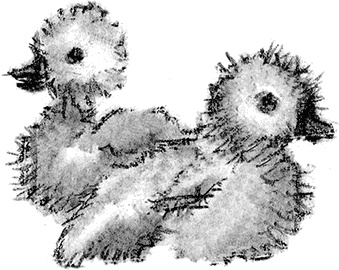 Иллюстрация к книге — Приключения Джерика [i_012.jpg]