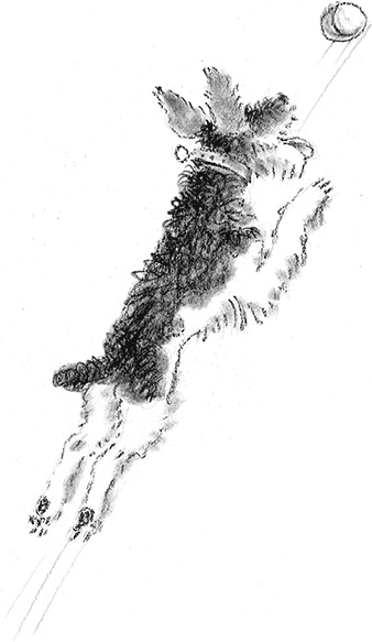 Иллюстрация к книге — Приключения Джерика [i_028.jpg]