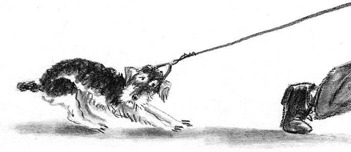 Иллюстрация к книге — Приключения Джерика [i_036.jpg]