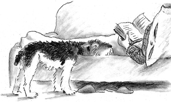 Иллюстрация к книге — Приключения Джерика [i_037.jpg]