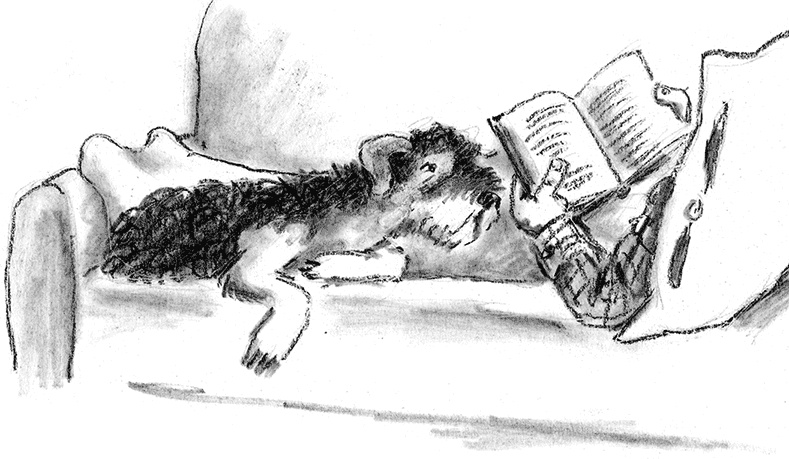 Иллюстрация к книге — Приключения Джерика [i_038.jpg]