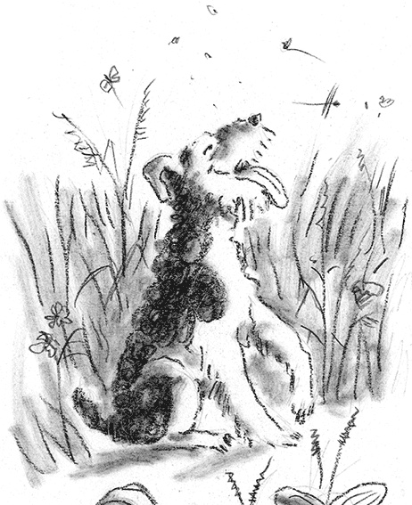 Иллюстрация к книге — Приключения Джерика [i_042.jpg]