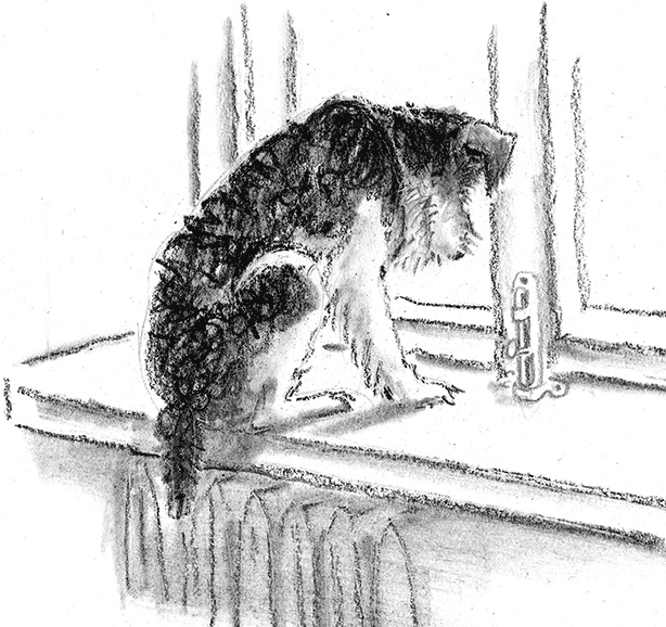 Иллюстрация к книге — Приключения Джерика [i_049.jpg]