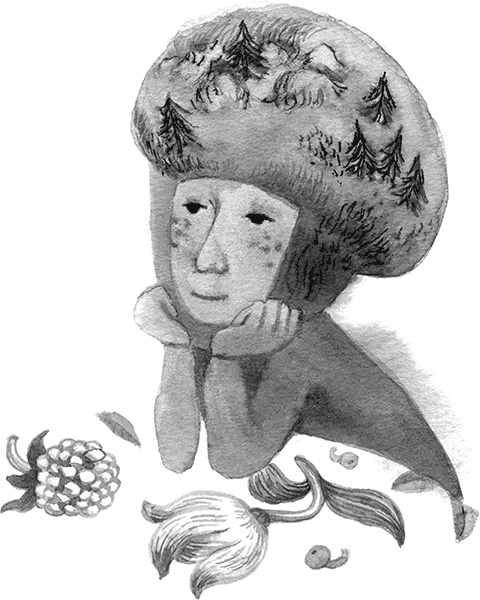 Иллюстрация к книге — Простодурсен. Зима от начала до конца [i_025.jpg]