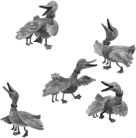 Иллюстрация к книге — Простодурсен. Зима от начала до конца [i_032.jpg]