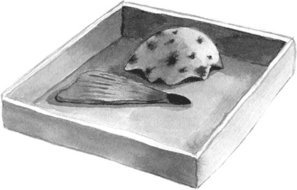 Иллюстрация к книге — Простодурсен. Зима от начала до конца [i_094.jpg]