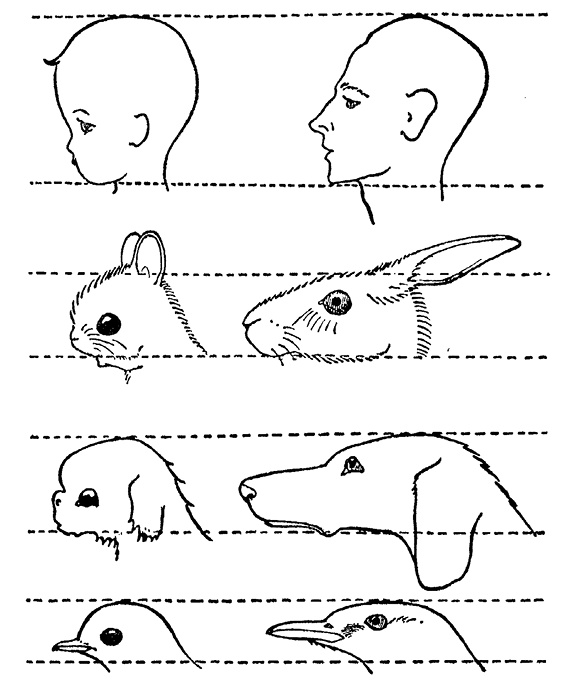 Иллюстрация к книге — Флипноз. Искусство мгновенного убеждения [i_012.jpg]