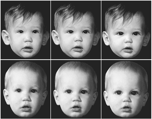 Иллюстрация к книге — Флипноз. Искусство мгновенного убеждения [i_015.jpg]