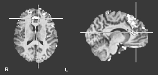 Иллюстрация к книге — Флипноз. Искусство мгновенного убеждения [i_054.jpg]