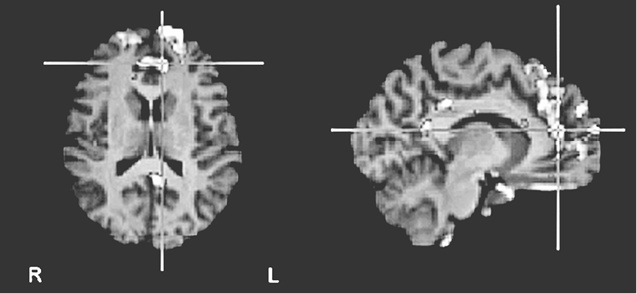 Иллюстрация к книге — Флипноз. Искусство мгновенного убеждения [i_055.jpg]