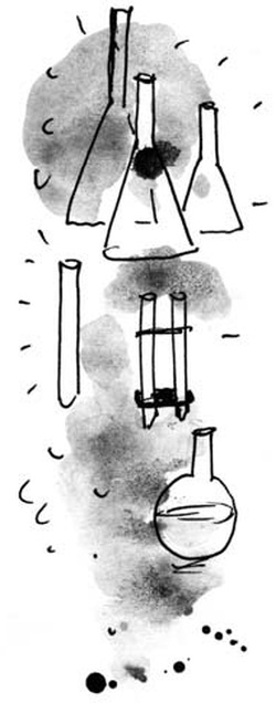 Иллюстрация к книге — Скажи, Лиса! [i_004.jpg]