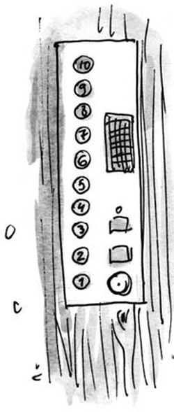 Иллюстрация к книге — Скажи, Лиса! [i_016.jpg]