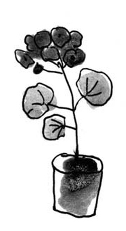 Иллюстрация к книге — Скажи, Лиса! [i_021.jpg]