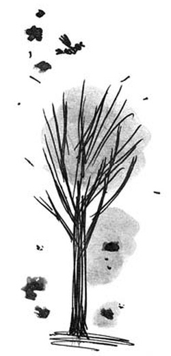 Иллюстрация к книге — Скажи, Лиса! [i_061.jpg]