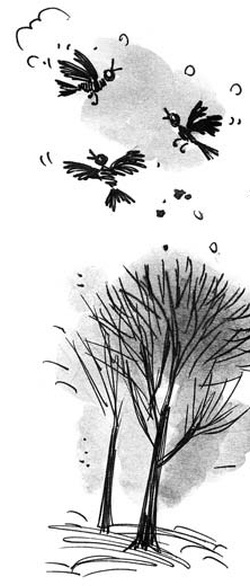 Иллюстрация к книге — Скажи, Лиса! [i_062.jpg]