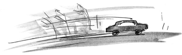 Иллюстрация к книге — Скажи, Лиса! [i_063.jpg]