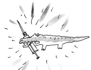 Иллюстрация к книге — Скажи, Лиса! [i_074.jpg]